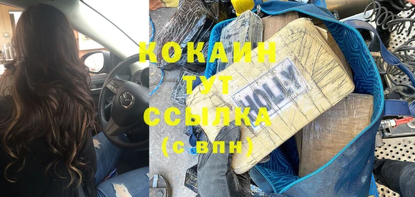 крисы Каменногорск