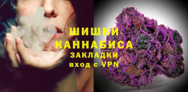 крисы Каменногорск