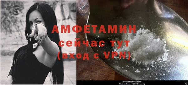 крисы Каменногорск