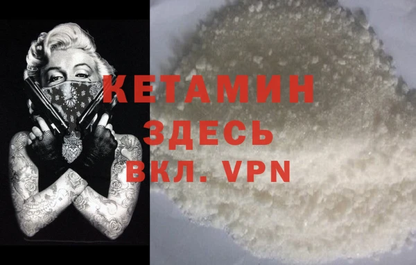 крисы Каменногорск