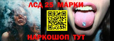 стафф Кудрово