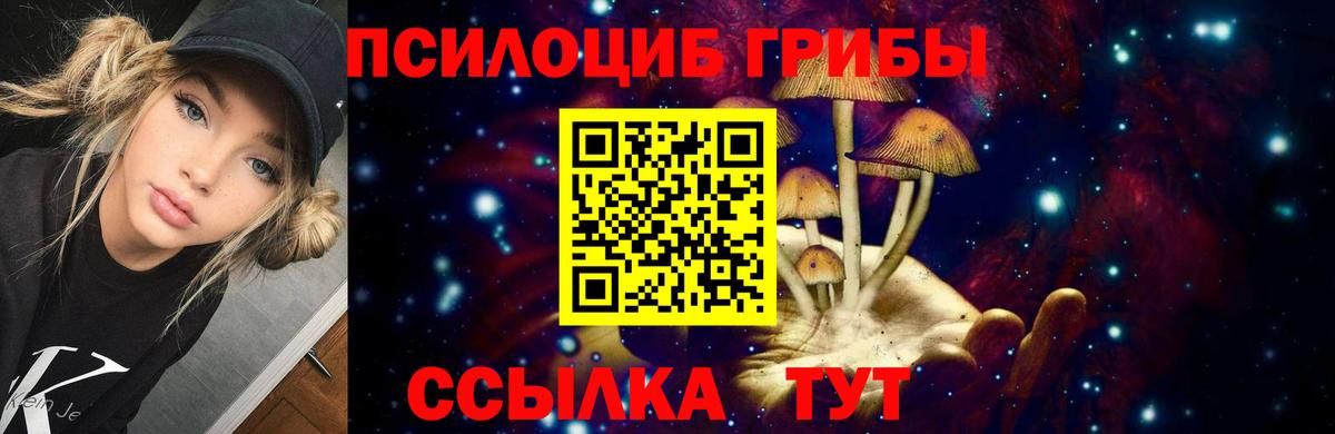 Полысаево  Галлюциногенные грибы мицелий  Псилоцибиновые грибы ЛСД  Вход с VPN 